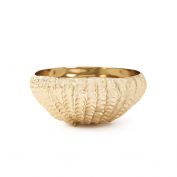 Palau Bowl, Brass