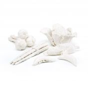 Vegetable Garden Set, Blanc de Chine